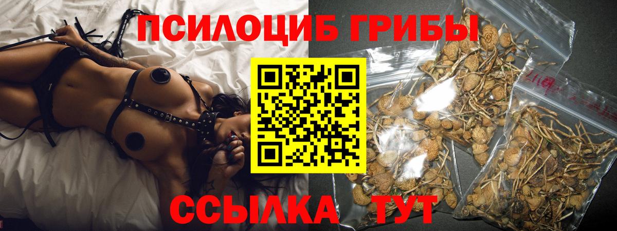 Галлюциногенные грибы прущие грибы Вышний Волочёк